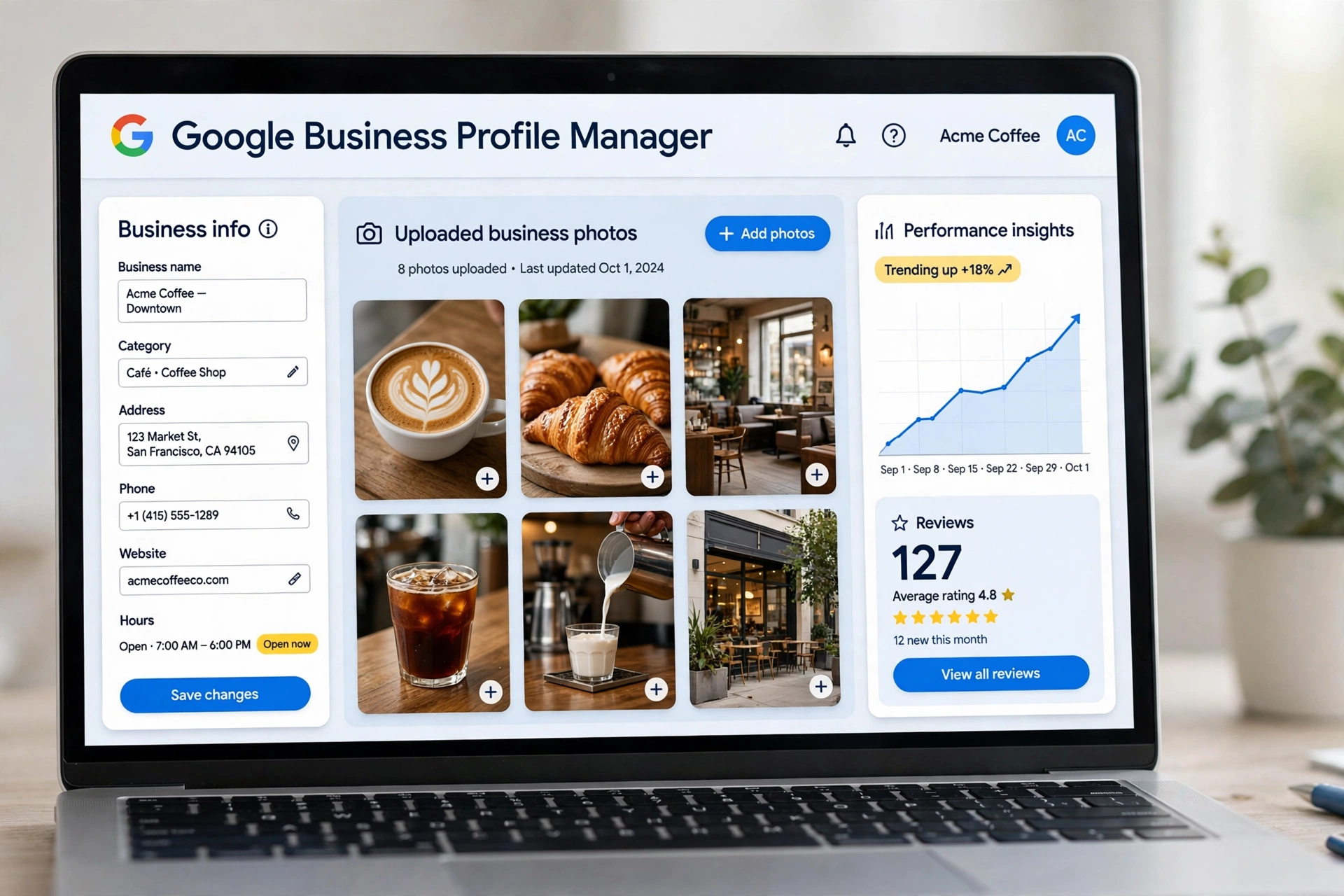 Google Business Profile dashboard with business info, photos, and insights